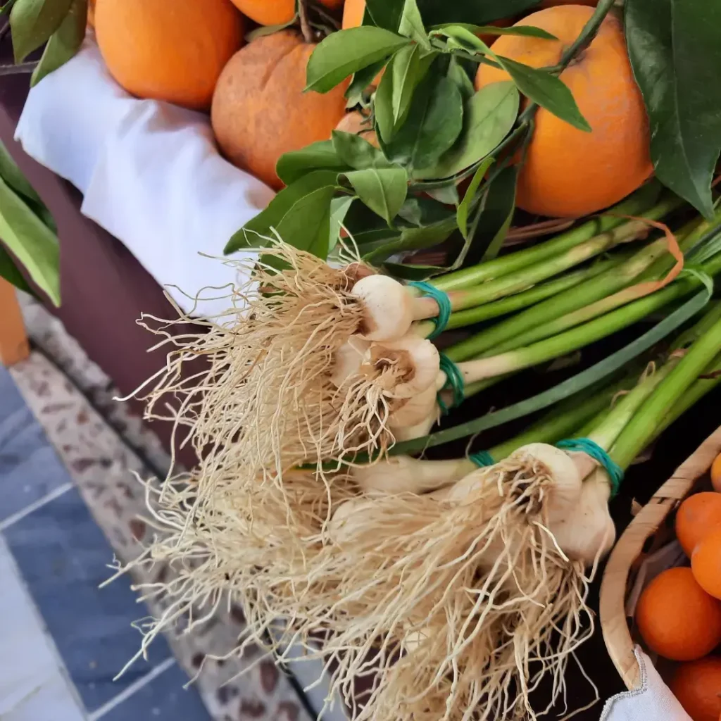 Del campo a tu mesa - La huerta de carmen