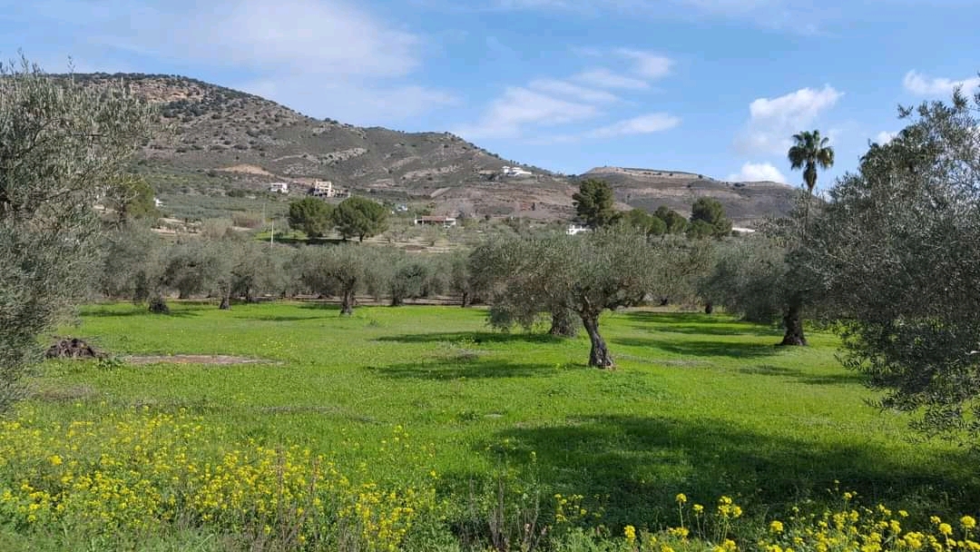 Investigación agrónoma - la huerta de carmen