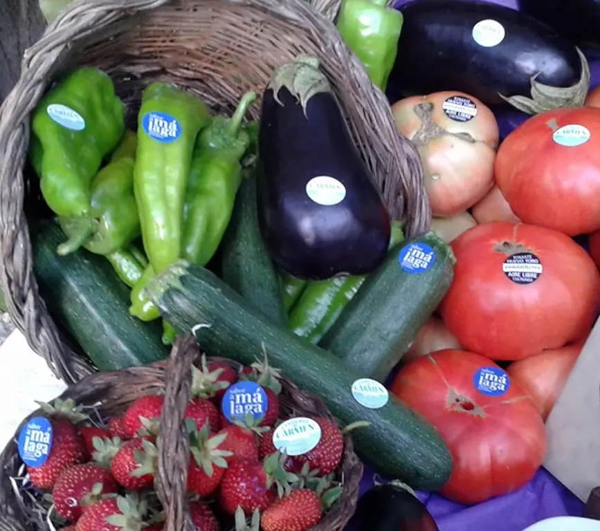 Otros Productos Hortícolas de Temporada - la huerta de carmen