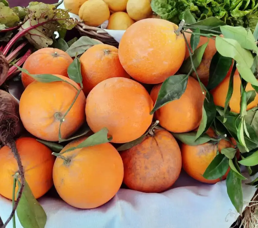 Pomelos - la huerta de carmen