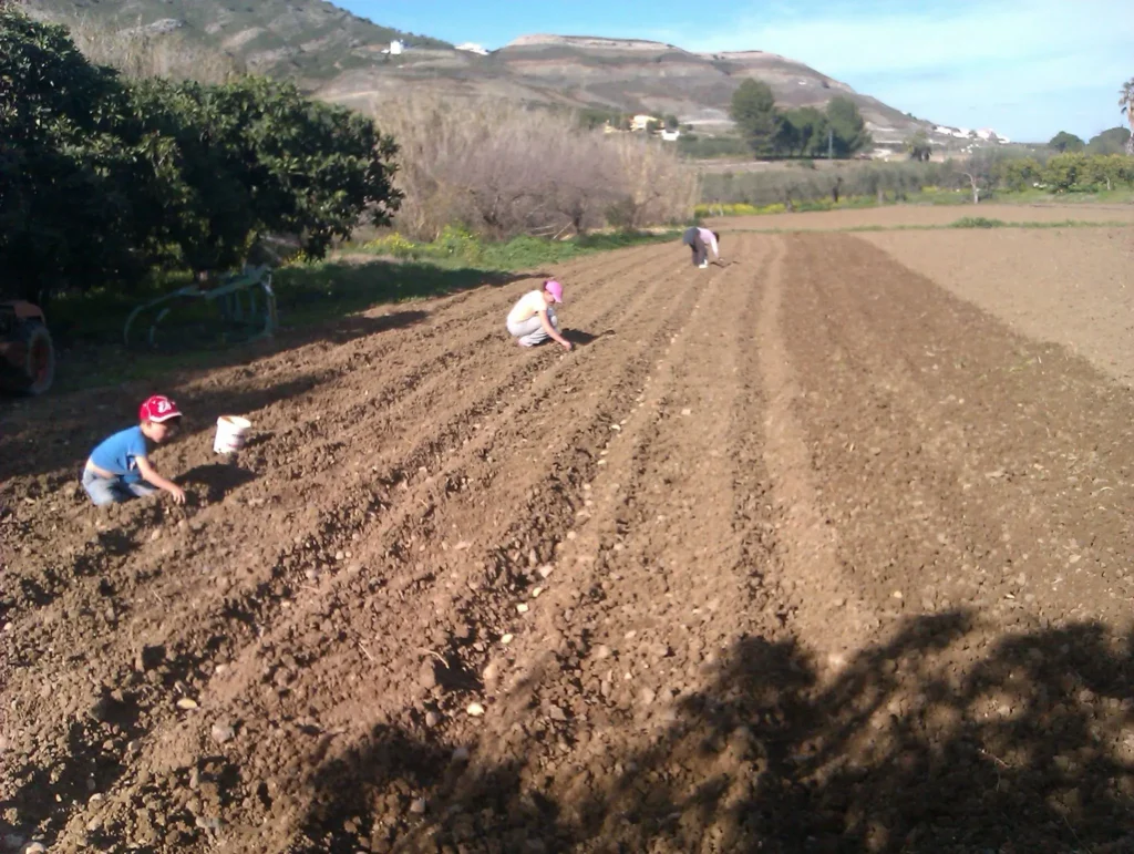 la huerta de carmen , familia