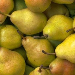PERAL Limonera